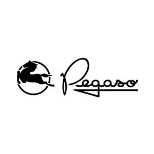 Pegaso