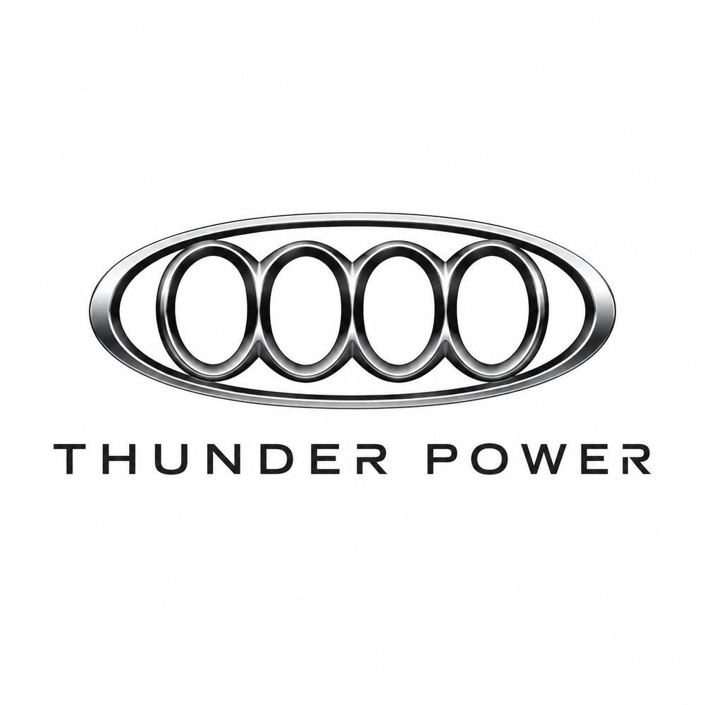 Logo Thunder Power