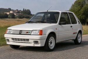 peugeot 205 rallye